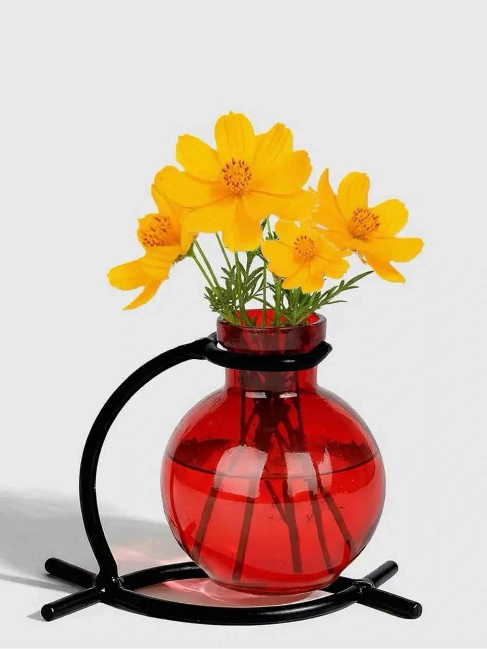 Red Glass Propagation Vase with Black Metal Stand — Sleek Tabletop Accent